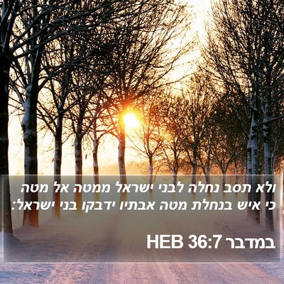 במדבר 36:7 HEB Bible Verse Image