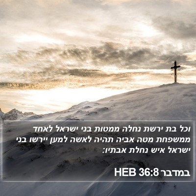 במדבר 36:8 HEB Bible Verse Image