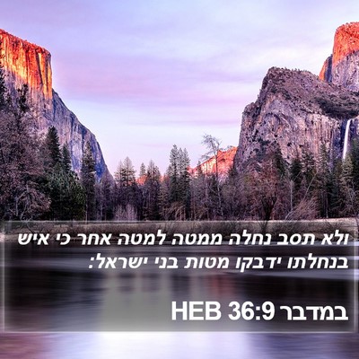 במדבר 36:9 HEB Bible Verse Image