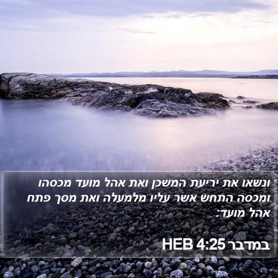 במדבר 4:25 HEB Bible Verse Image