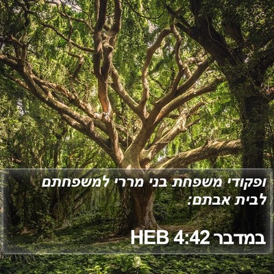 במדבר 4:42 HEB Bible Verse Image