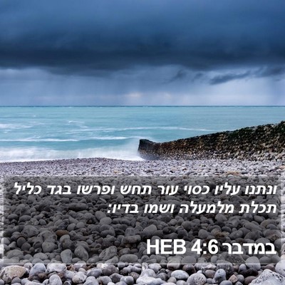 במדבר 4:6 HEB Bible Verse Image