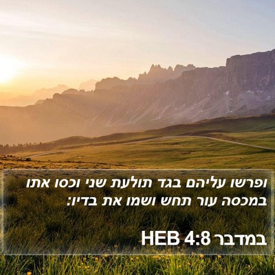 במדבר 4:8 HEB Bible Verse Image