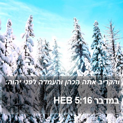 במדבר 5:16 HEB Bible Verse Image