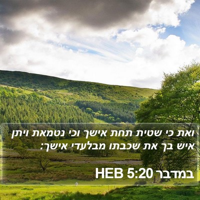 במדבר 5:20 HEB Bible Verse Image