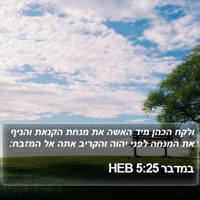 במדבר 5:25 HEB Bible Verse Image