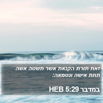 במדבר 5:29 HEB Bible Verse Image