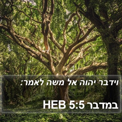 במדבר 5:5 HEB Bible Verse Image