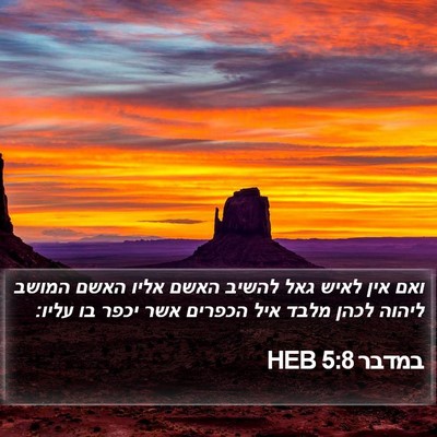במדבר 5:8 HEB Bible Verse Image