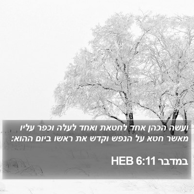 במדבר 6:11 HEB Bible Verse Image