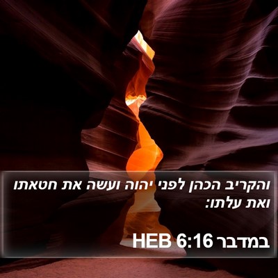 במדבר 6:16 HEB Bible Verse Image