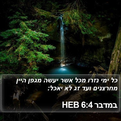 במדבר 6:4 HEB Bible Verse Image