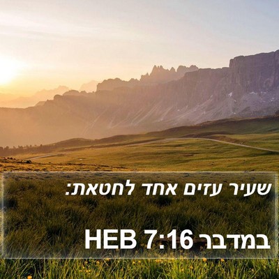 במדבר 7:16 HEB Bible Verse Image