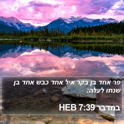 במדבר 7:39 HEB Bible Verse Image