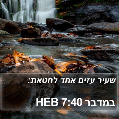 במדבר 7:40 HEB Bible Verse Image