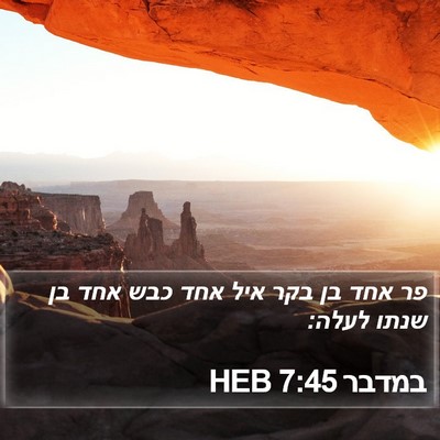 במדבר 7:45 HEB Bible Verse Image