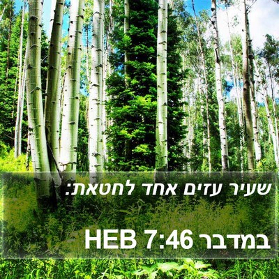 במדבר 7:46 HEB Bible Verse Image