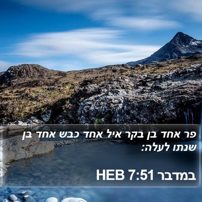 במדבר 7:51 HEB Bible Verse Image