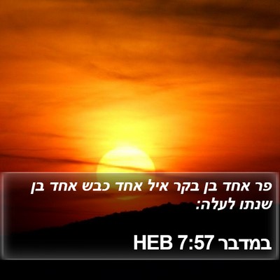 במדבר 7:57 HEB Bible Verse Image