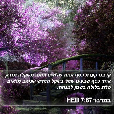 במדבר 7:67 HEB Bible Verse Image