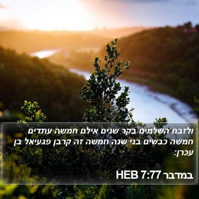 במדבר 7:77 HEB Bible Verse Image