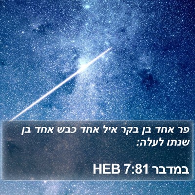במדבר 7:81 HEB Bible Verse Image
