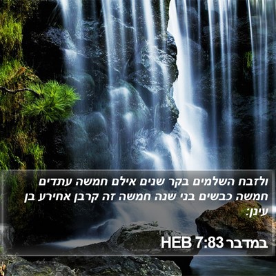 במדבר 7:83 HEB Bible Verse Image