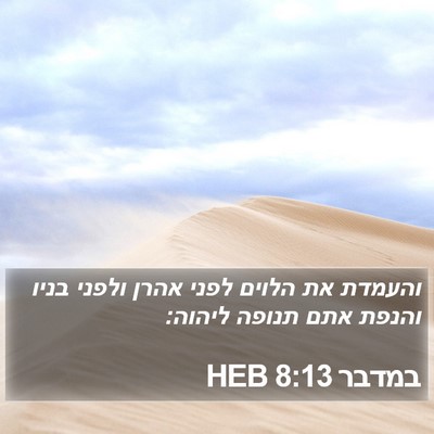 במדבר 8:13 HEB Bible Verse Image