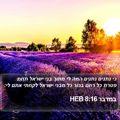 במדבר 8:16 HEB Bible Verse Image