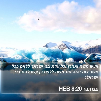במדבר 8:20 HEB Bible Verse Image