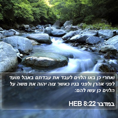 במדבר 8:22 HEB Bible Verse Image