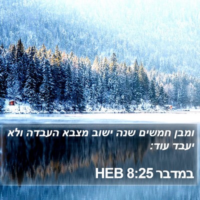 במדבר 8:25 HEB Bible Verse Image