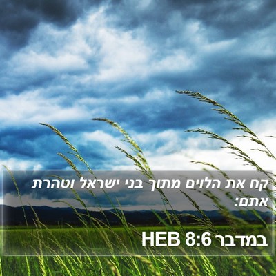 במדבר 8:6 HEB Bible Verse Image