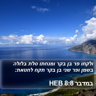 במדבר 8:8 HEB Bible Verse Image