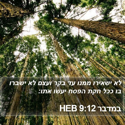 במדבר 9:12 HEB Bible Verse Image