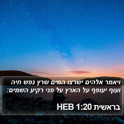 בראשית 1:20 HEB Bible Verse Image