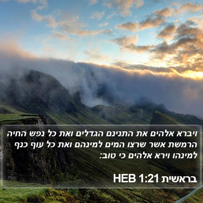 בראשית 1:21 HEB Bible Verse Image