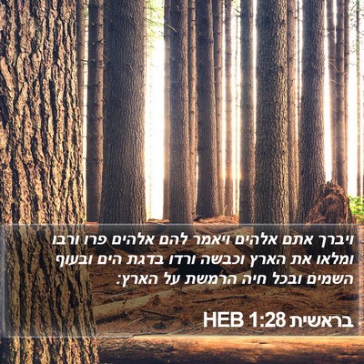 בראשית 1:28 HEB Bible Verse Image