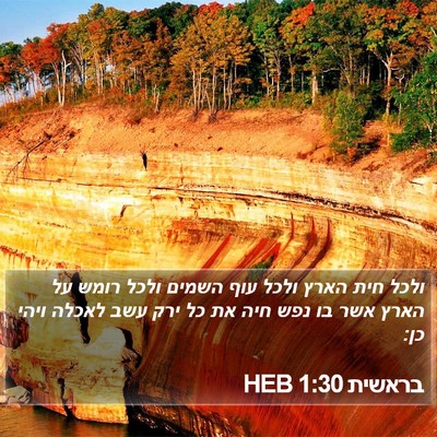 בראשית 1:30 HEB Bible Verse Image