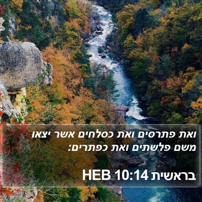 בראשית 10:14 HEB Bible Verse Image