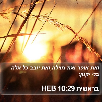 בראשית 10:29 HEB Bible Verse Image