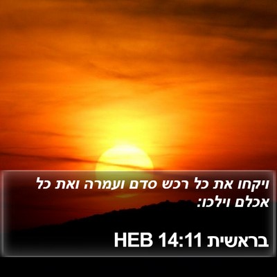בראשית 14:11 HEB Bible Verse Image
