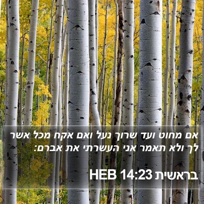 בראשית 14:23 HEB Bible Verse Image