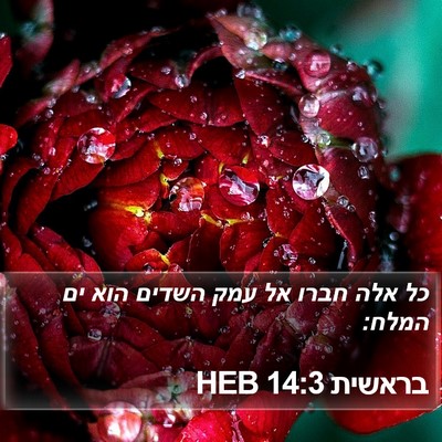 בראשית 14:3 HEB Bible Verse Image