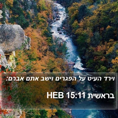 בראשית 15:11 HEB Bible Verse Image