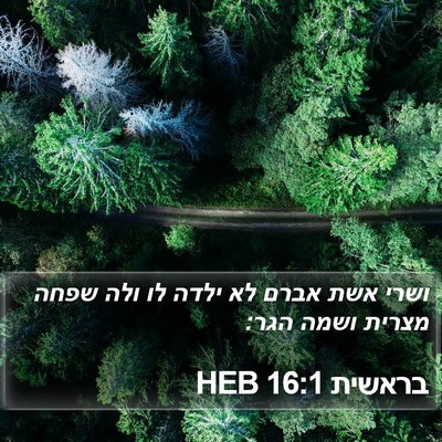 בראשית 16:1 HEB Bible Verse Image