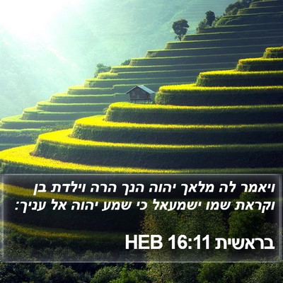 בראשית 16:11 HEB Bible Verse Image