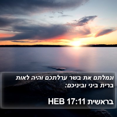 בראשית 17:11 HEB Bible Verse Image