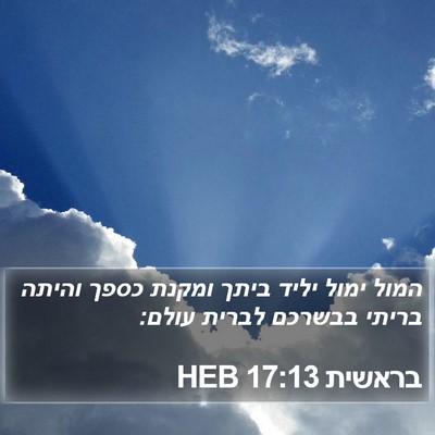 בראשית 17:13 HEB Bible Verse Image