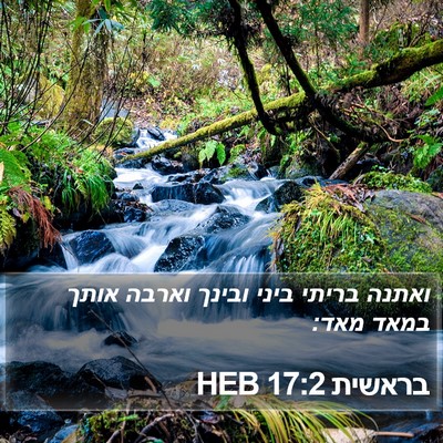 בראשית 17:2 HEB Bible Verse Image
